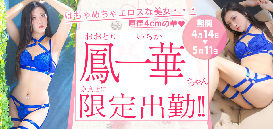 鳳一華期間限定